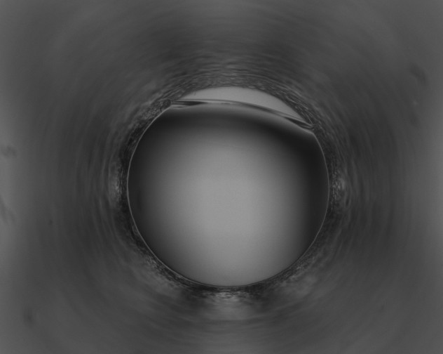 X0000090710566200708031435