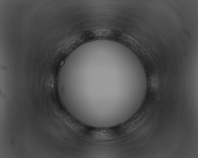 X0000090710567200708031435