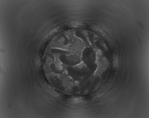 X0000090710569200708031435