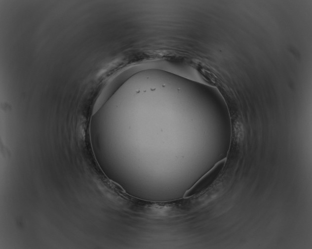 X0000090710570200708031435