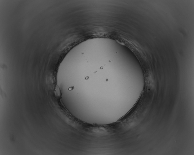 X0000090710572200708031435