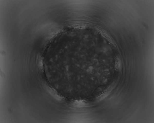 X0000090710573200708031435