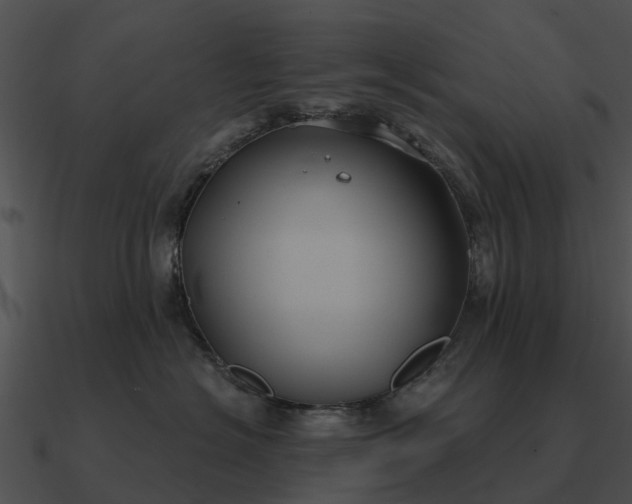 X0000090710574200708031435