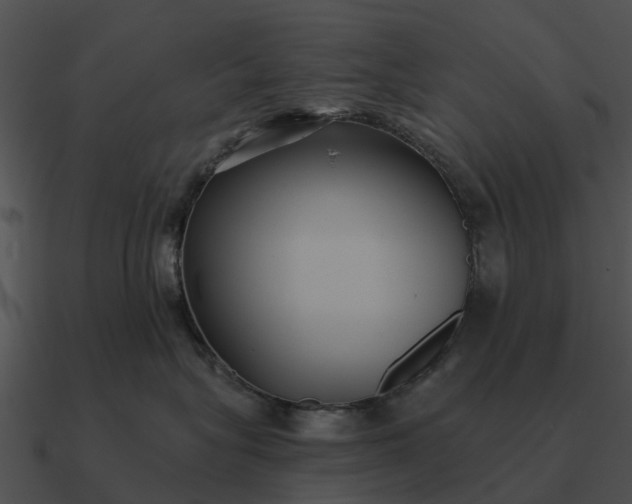 X0000090710575200708031435