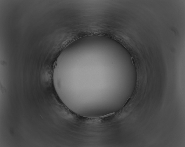 X0000090710576200708031435