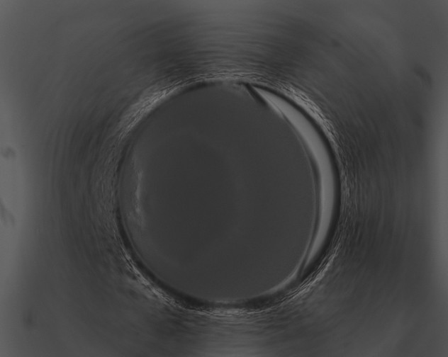 X0000090710577200708031435