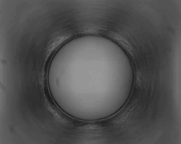 X0000090710578200708031435