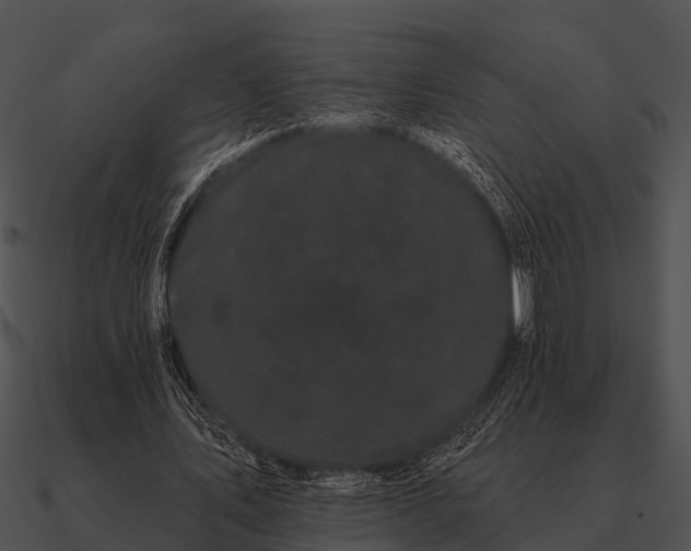 X0000090710579200708031435