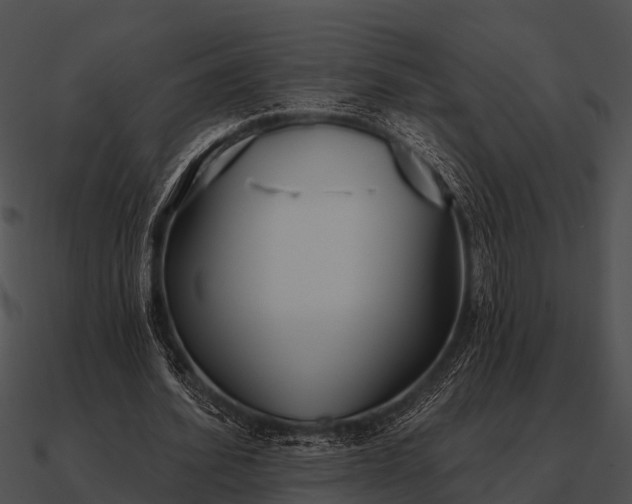 X0000090710580200708031435