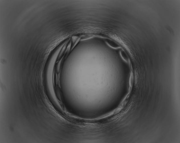 X0000090710581200708031435