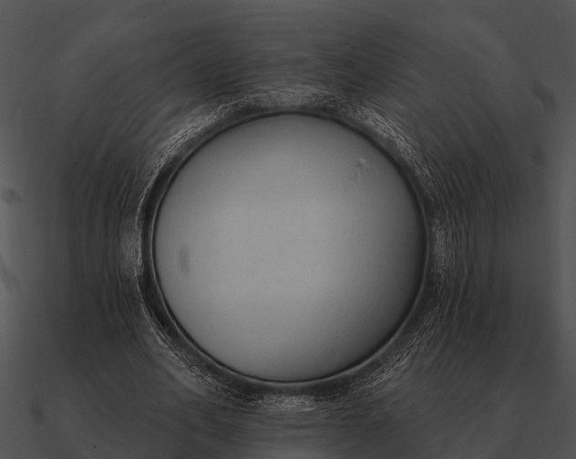 X0000090710582200708031435