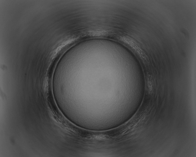 X0000090710583200708031435