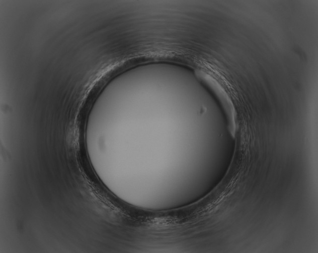 X0000090710584200708031435