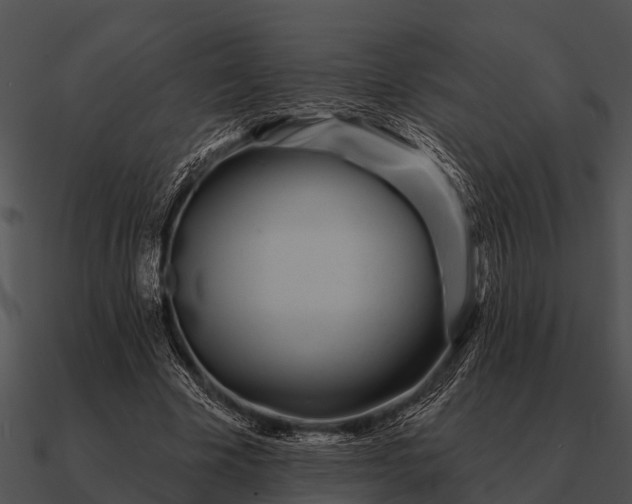 X0000090710585200708031435