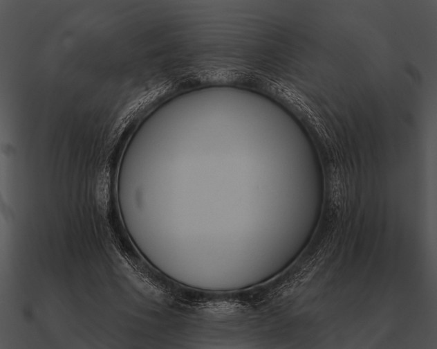 X0000090710586200708031435