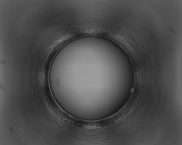 X0000090710587200708031435