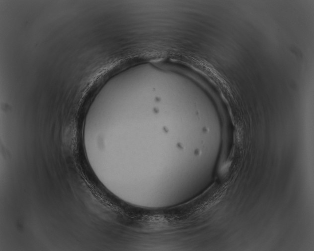 X0000090710588200708031435