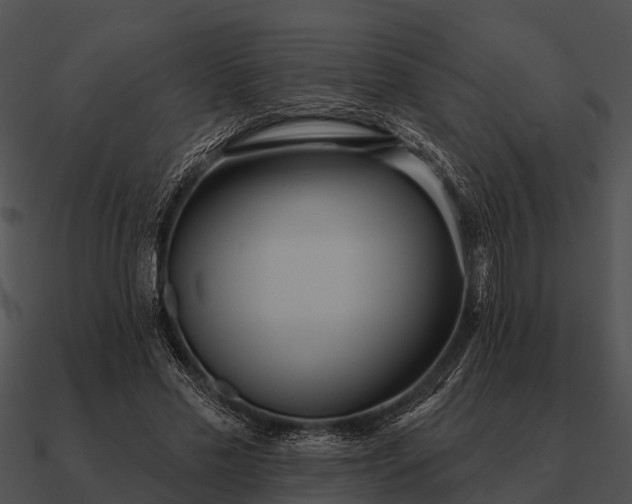 X0000090710589200708031435