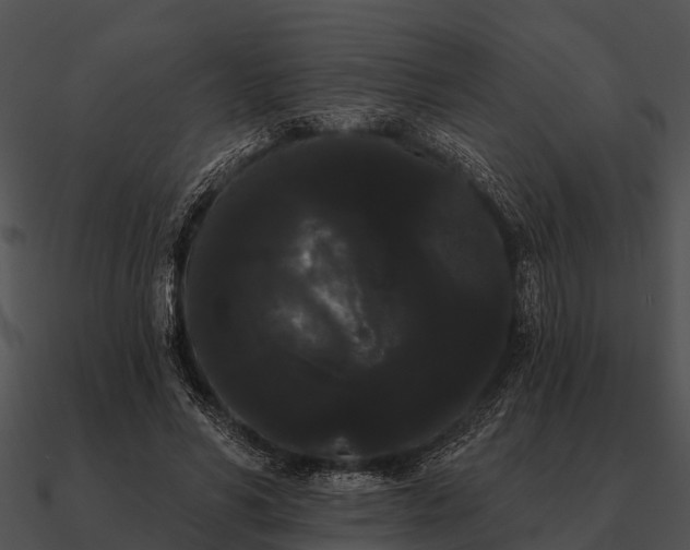 X0000090710590200708031435