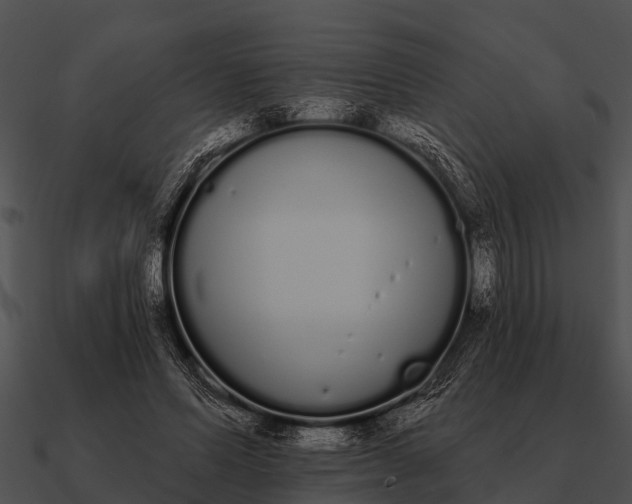 X0000090710591200708031435