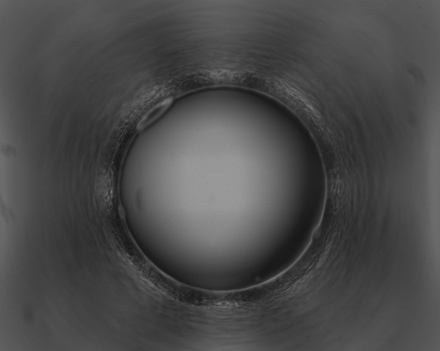 X0000090710593200708031435