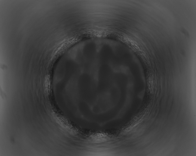 X0000090710594200708031435