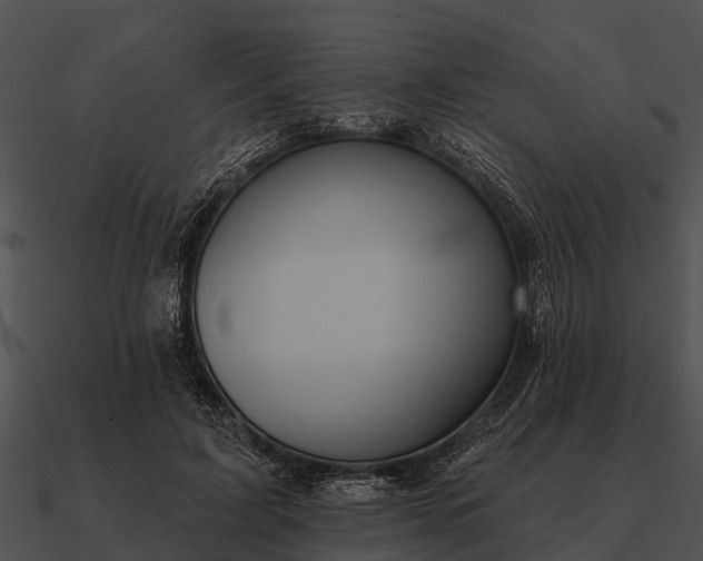 X0000090710595200708031435