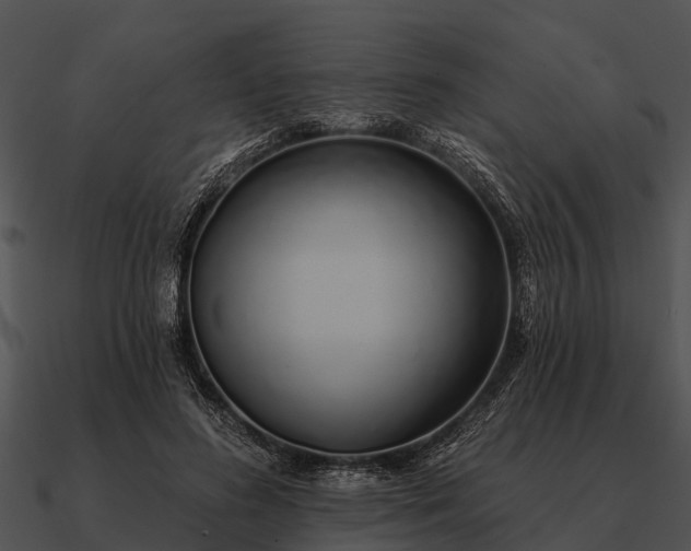 X0000090710596200708031435