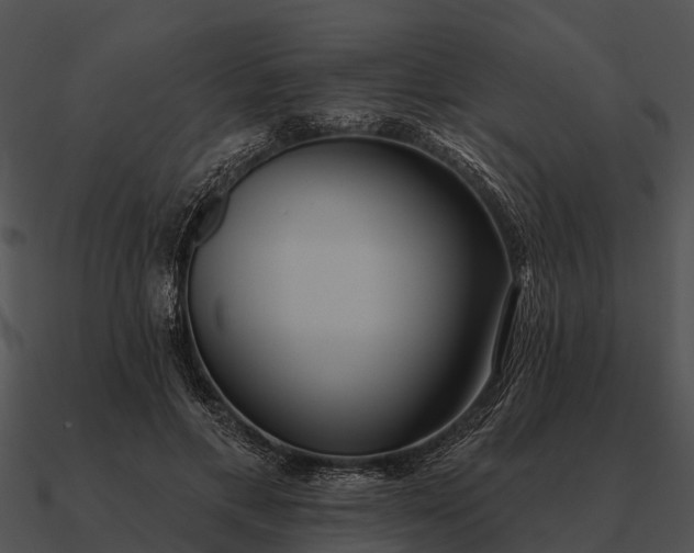 X0000090710597200708031435