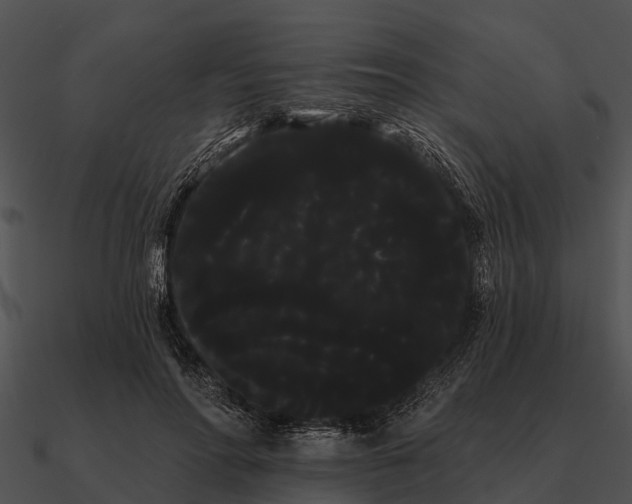 X0000090710598200708031435