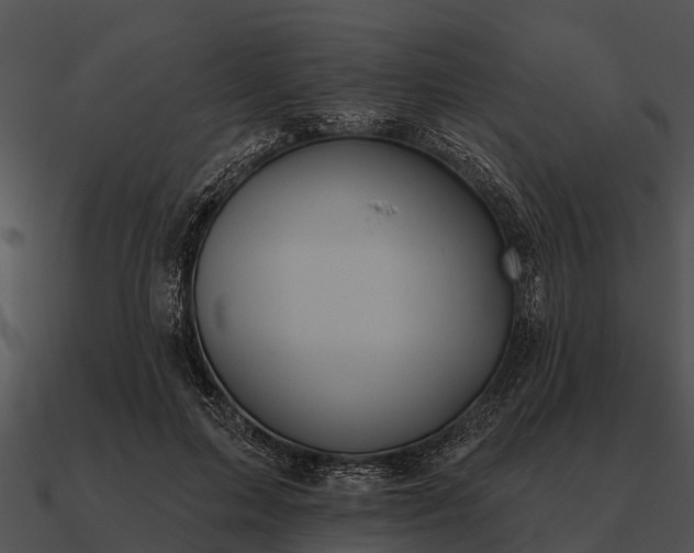 X0000090710599200708031434