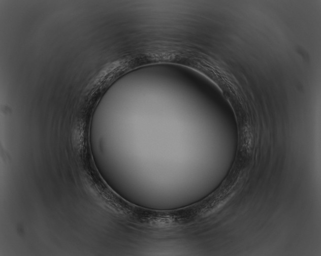 X0000090710600200708031434