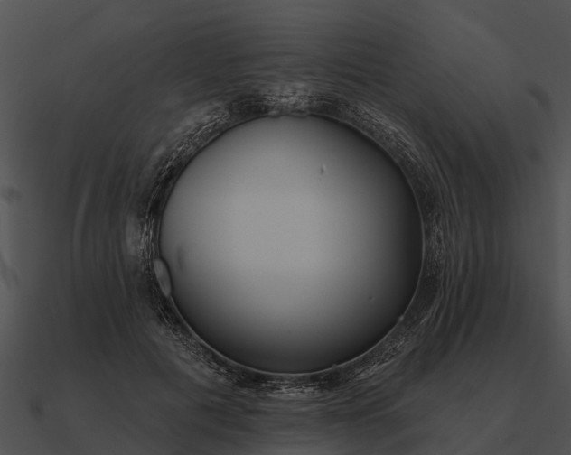 X0000090710601200708031434