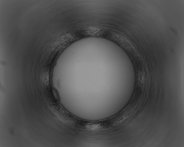 X0000090710602200708031434