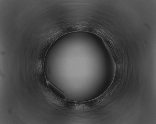 X0000090710605200708031434