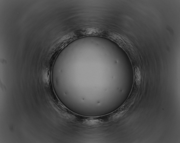 X0000090710607200708031434