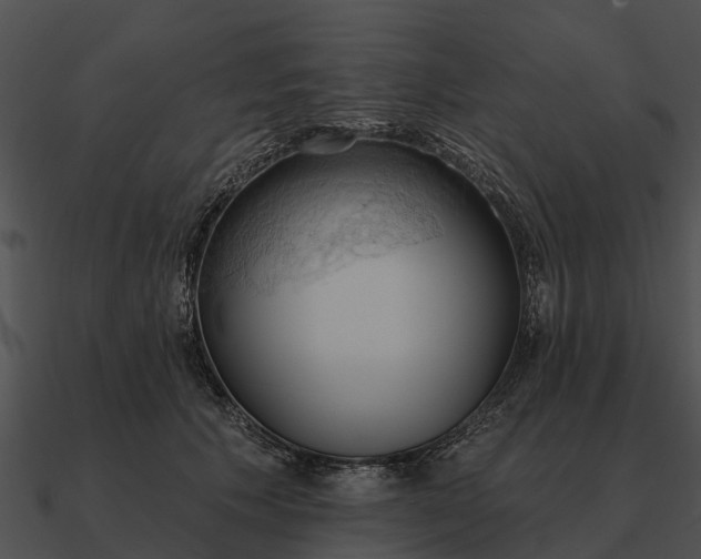 X0000090710609200708031434