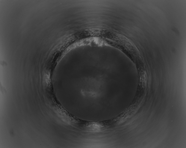 X0000090710610200708031434