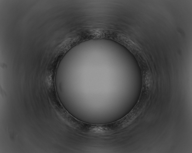 X0000090710611200708031434