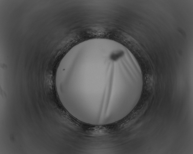 X0000090710612200708031434