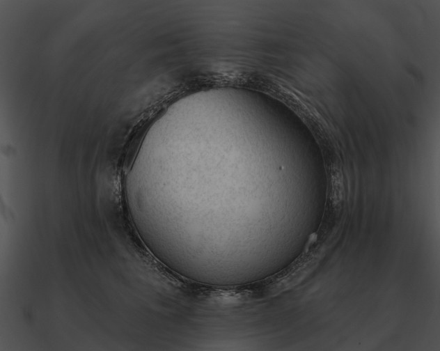 X0000090710613200708031434