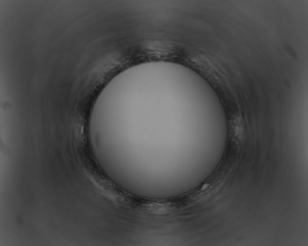 X0000090710615200708031434