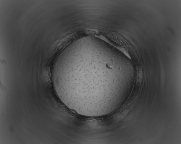 X0000090710616200708031434