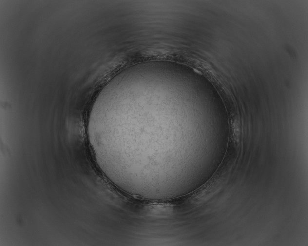 X0000090710617200708031434