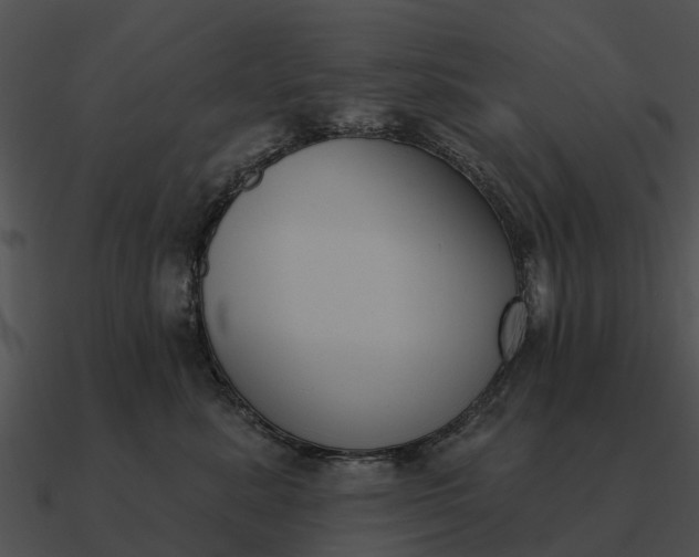 X0000090710619200708031434