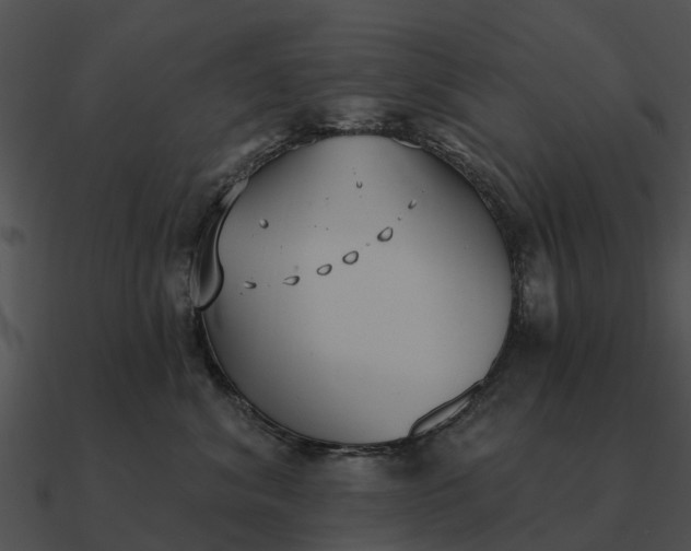 X0000090710620200708031434