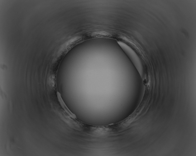 X0000090710621200708031434