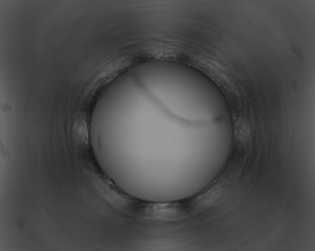 X0000090710622200708031434