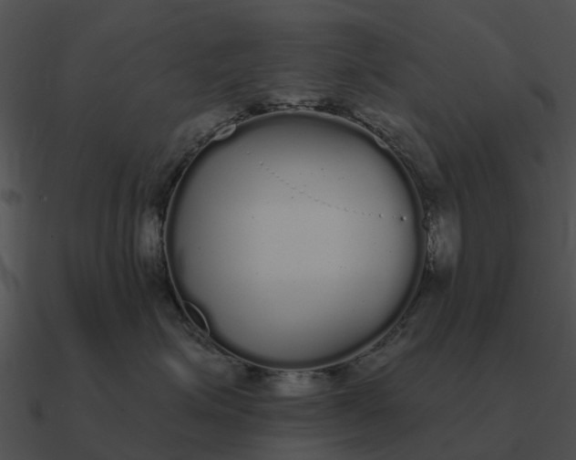 X0000090710623200708031434