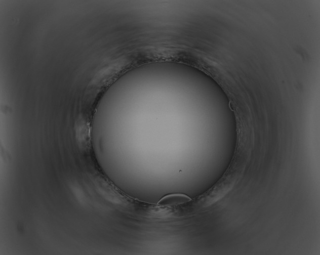 X0000090710624200708031434